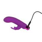 Alices Bunny Rechargeable Bullet w Rabbit Sleeve Purple - Hush Store Sydney 