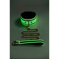 Kink in the Dark Glowing Collar and Lead Fluro Green - Hush Store Sydney 