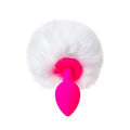 ToDo Sweet Bunny Anal Plug White - Hush Store Sydney 