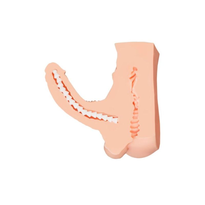 Juicy Long Schlong Manuel - Penis, Anal and Balls Torso - Hush Store Sydney 