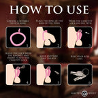 Pussification Vulva Chastity Cage - Hush Store Sydney 