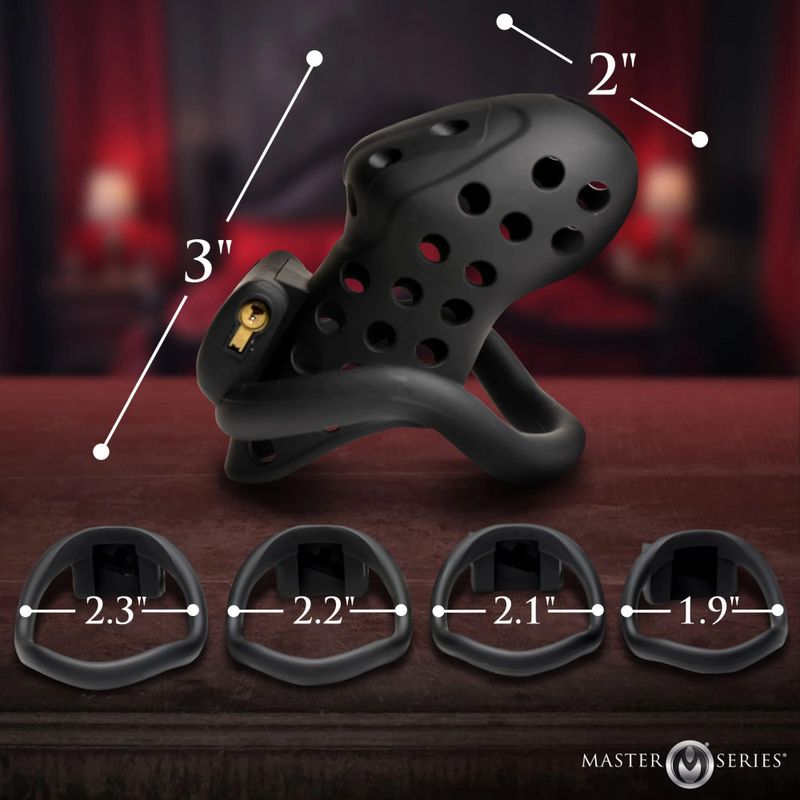 Lock Down Chastity Cage