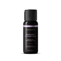 Wicked Sensual Massage Oil - Lavender + Rosemary - Lavender and Rosemary Scented Massage Oil - 120 ml Tube - Hush Store Sydney 