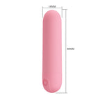 Party Up HENRY Mini Bullet - Pink - Pink 8 cm USB Rechargeable Bullet - Hush Store Sydney 