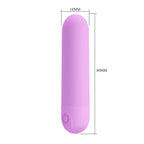 Party Up GREG Mini Bullet - Purple - Purple 8 cm USB Rechargeable Bullet - Hush Store Sydney 