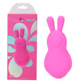 Maia BRI - Pink - Pink 9 cm USB Rechargeable Vibrating Bunny Bullet - Hush Store Sydney 