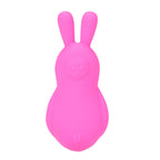 Maia BRI - Pink - Pink 9 cm USB Rechargeable Vibrating Bunny Bullet - Hush Store Sydney 