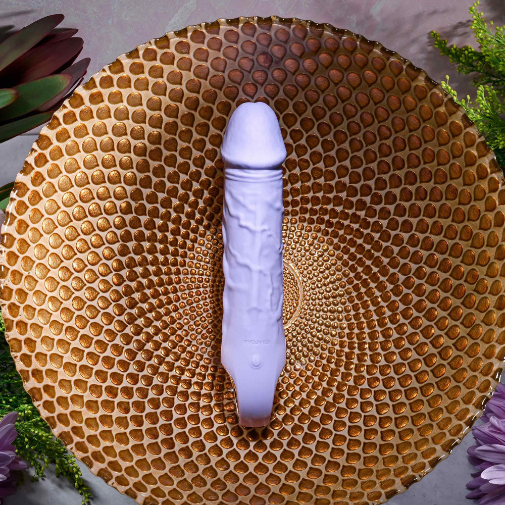 Evolved PURPLE FANTASY - Purple 18.4 cm USB Rechargeable Vibrator - Hush Store Sydney 