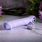 Evolved PURPLE FANTASY - Purple 18.4 cm USB Rechargeable Vibrator - Hush Store Sydney 