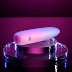 Evolved PARADISE BULLET - Pink/Purple 10.2 cm USB Rechargeable Bullet