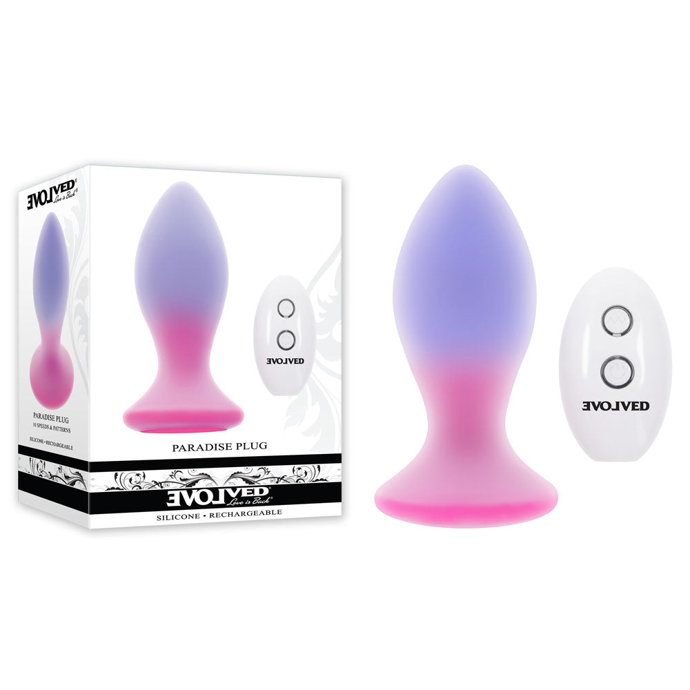 Evolved PARADISE PLUG - Pink/Purple 10.5 cm USB Rechargeable Vibrating Butt Plug with Wireless Remote