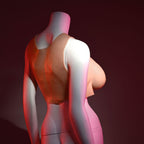Gender X UNDERGARMENTS - PLATE D-CUP - Light - Flesh Wearable Breasts - D-Cup Size - Hush Store Sydney 