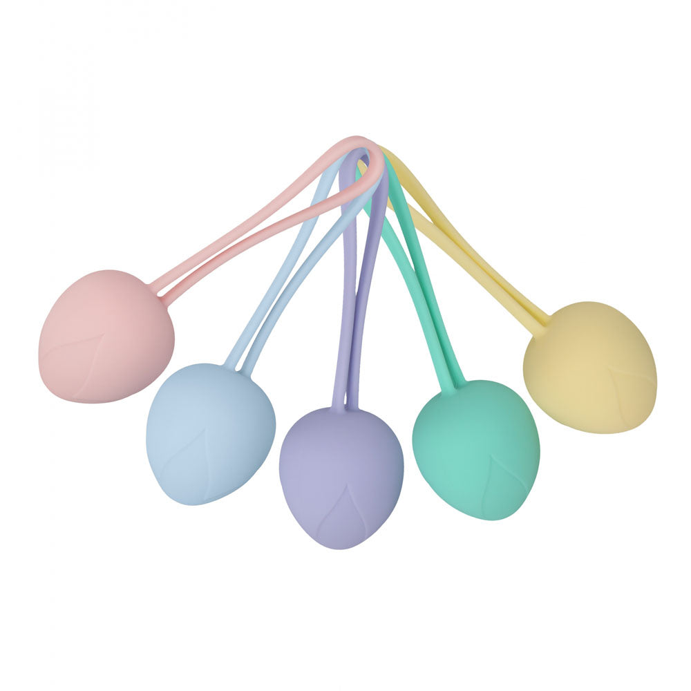 LOVELINE PelviFit Berry - Coloured Kegel Kit - Set of 5 Sizes
