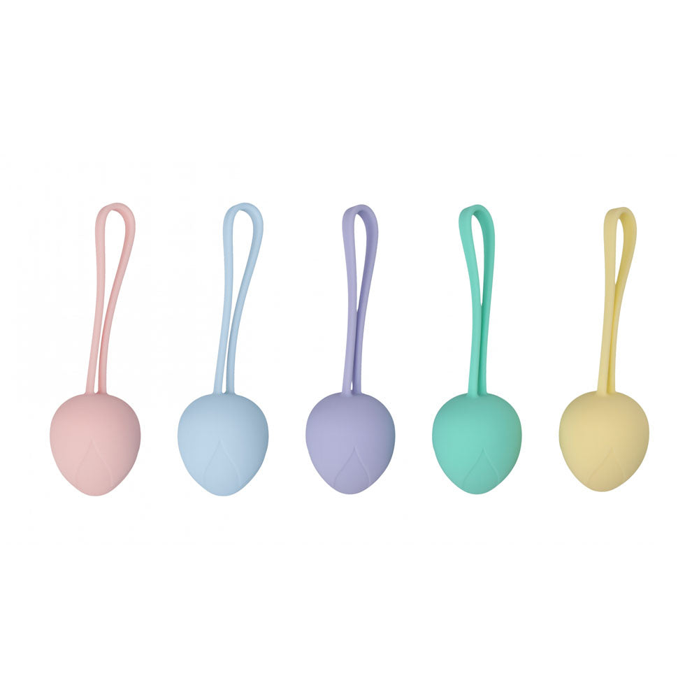 LOVELINE PelviFit Berry - Coloured Kegel Kit - Set of 5 Sizes