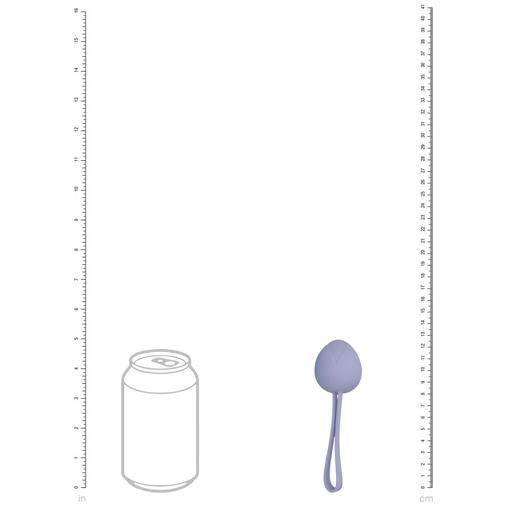 LOVELINE PelviFit Berry - Coloured Kegel Kit - Set of 5 Sizes