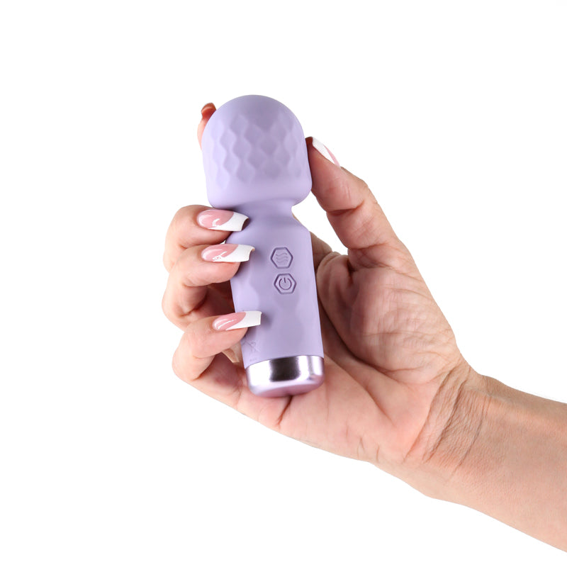 Lust-n-Dreams - Salsa - Lavender - Lavender 11.5 cm USB Rechargeable Mini Massage Wand - Hush Store Sydney 