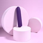 Playboy Pleasure ONE & ONLY - Purple 12 cm USB Rechargeable Bullet - Hush Store Sydney 
