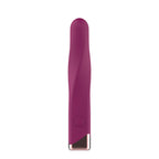 Passion Play Rechargeable Vibrating Bullet - Purple - Purple 12 cm USB Rechargeable Vibrating Bullet
