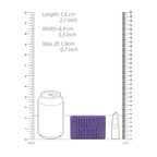 S-LINE Soap Bar - Dirty Bitch - Purple Novelty Soap - Hush Store Sydney 