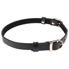 Sex & Mischief Double Buckle Day Collar - Black Collar - Hush Store Sydney 