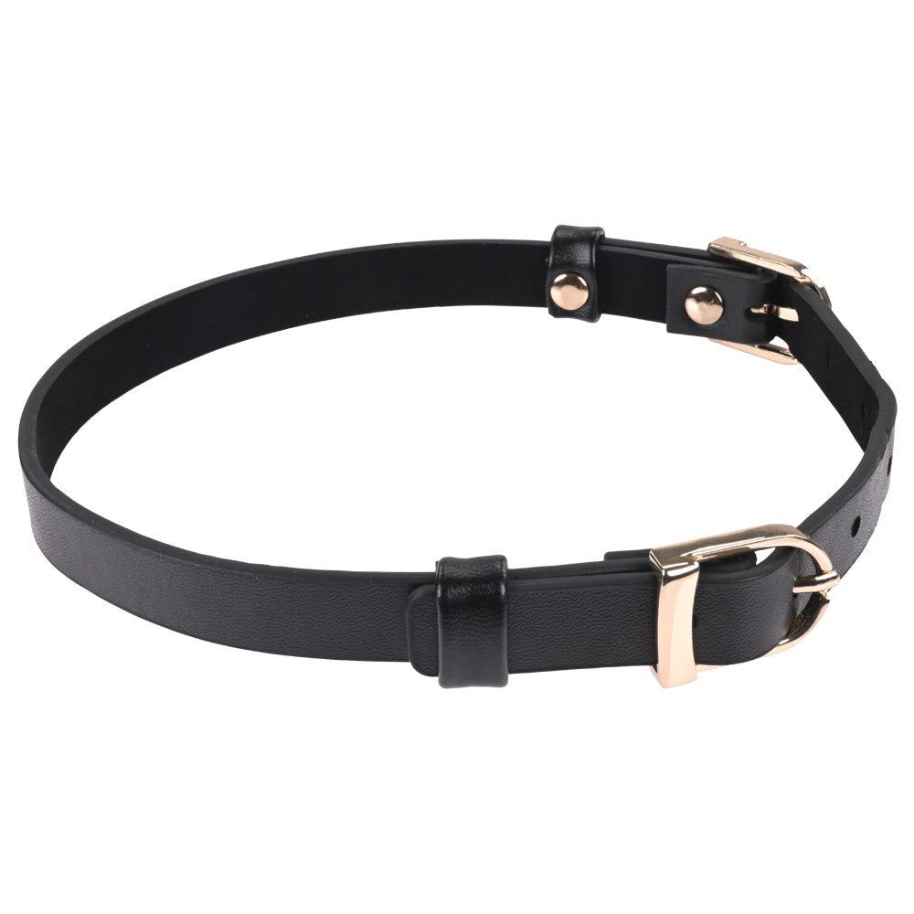 Sex & Mischief Double Buckle Day Collar - Black Collar - Hush Store Sydney 