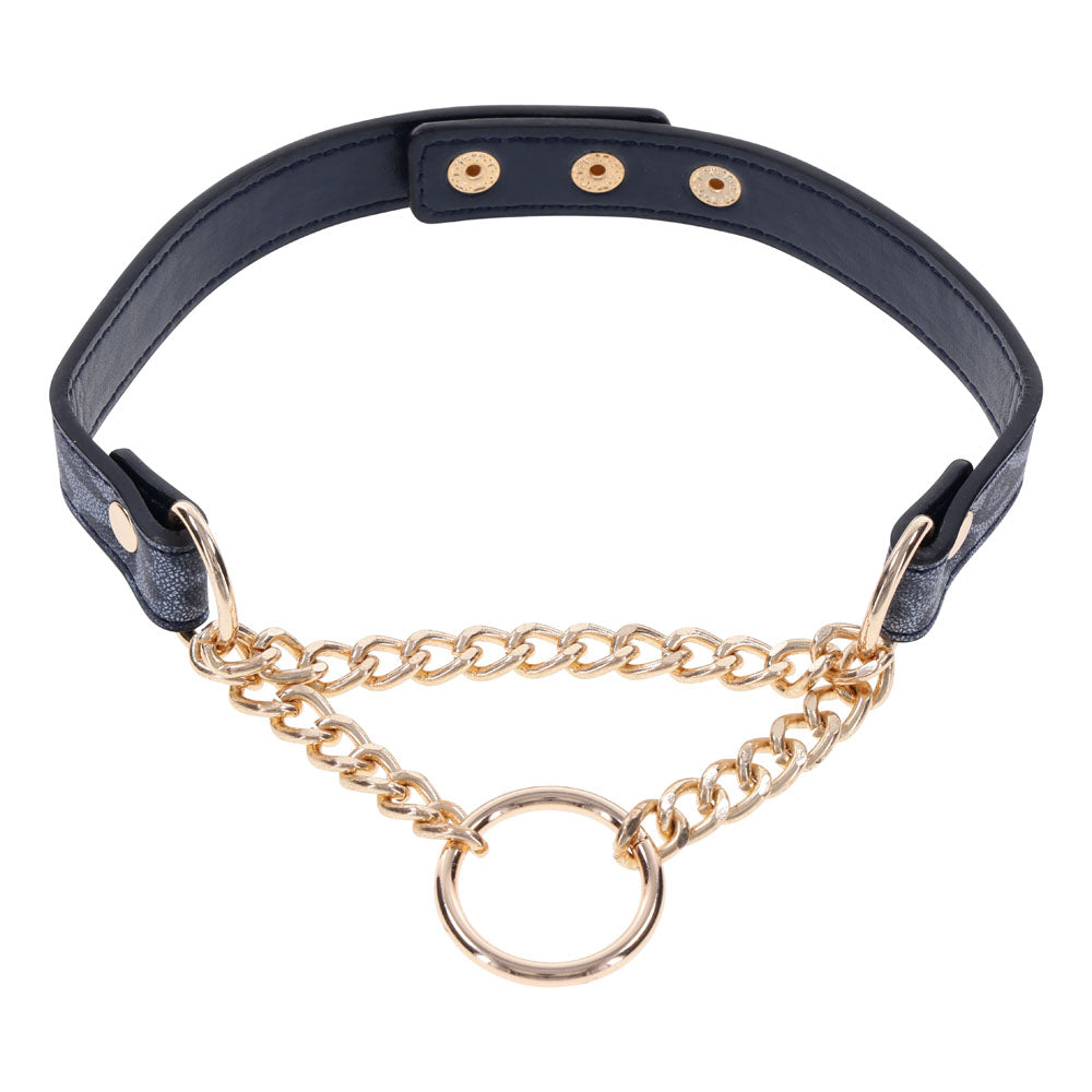 Sex & Mischief Cougar Day Collar - Navy Blue/Gold Collar - Hush Store Sydney 