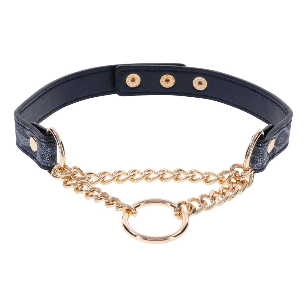 Sex & Mischief Cougar Day Collar - Navy Blue/Gold Collar - Hush Store Sydney 