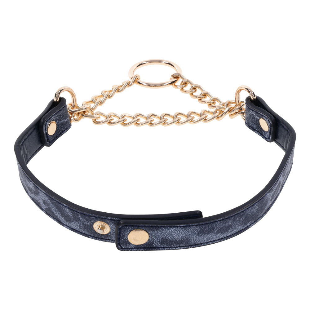Sex & Mischief Cougar Day Collar - Navy Blue/Gold Collar - Hush Store Sydney 