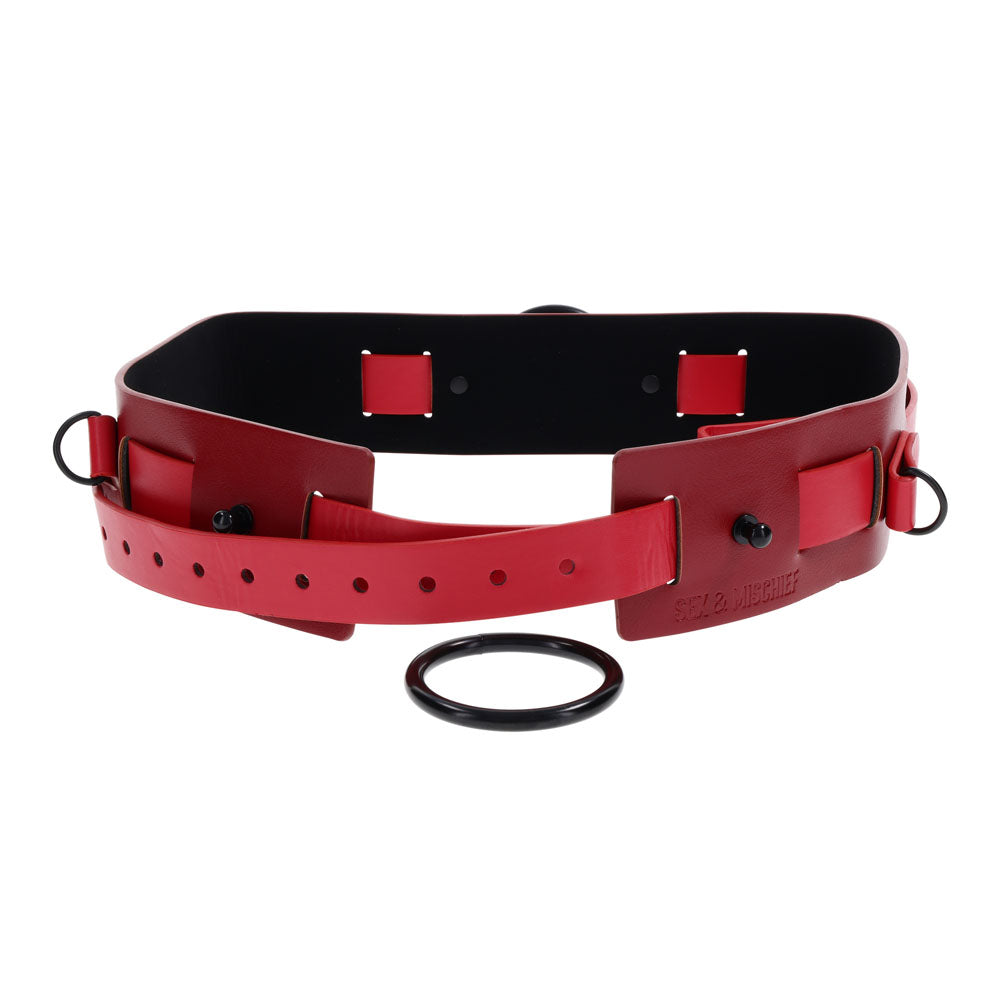 S&M Exs & Ohs Bound and Belted - - Hush Store Sydney 