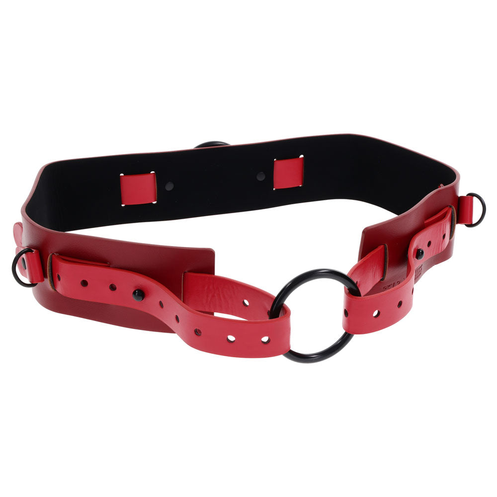 S&M Exs & Ohs Bound and Belted - - Hush Store Sydney 